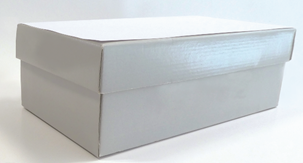Caja1