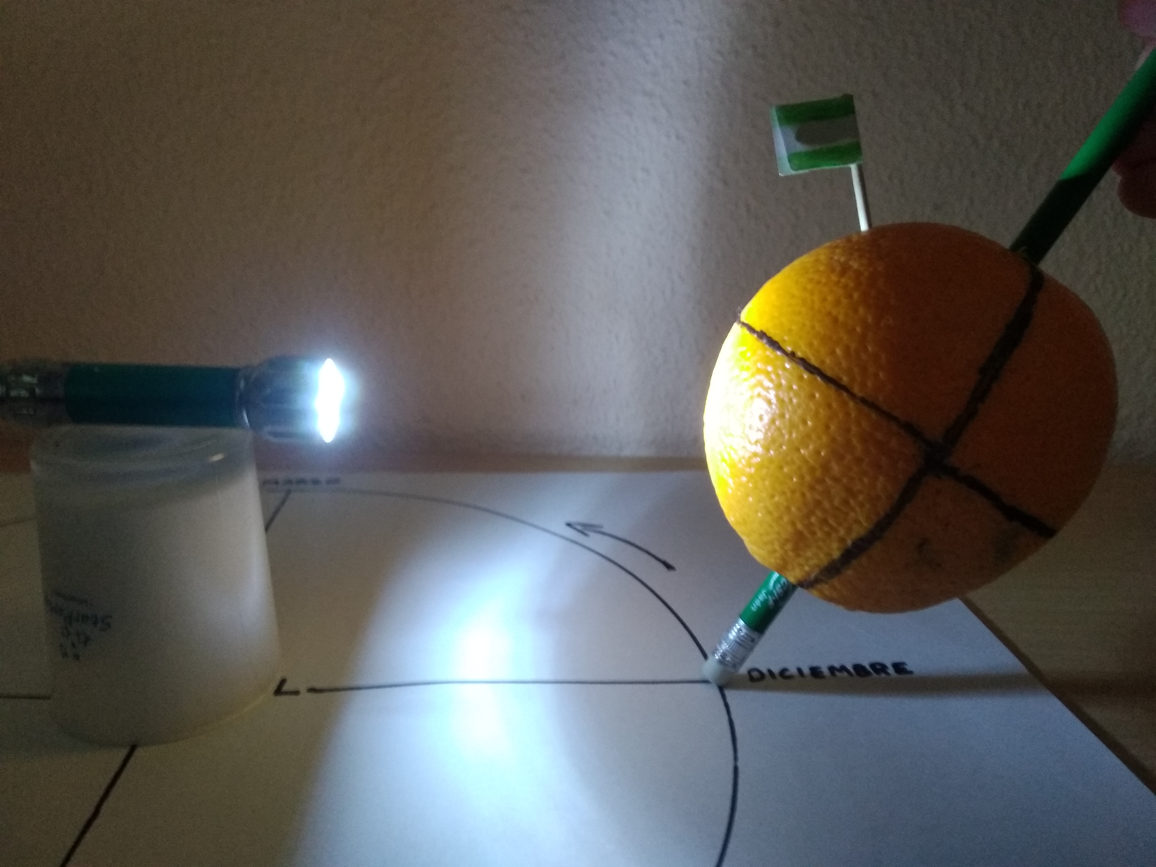 fig1